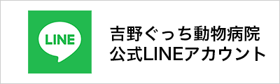 吉野ぐっち動物病院LINE
